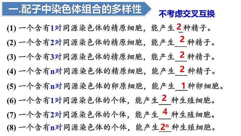 人教版（2019）高中生物必修二2.1《减数分裂和受精作用》（二）：受精作用（1课时）课件06