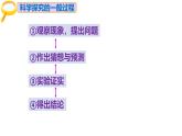人教版（2019）高中生物必修二2.1《减数分裂和受精作用》（一）：减数分裂（3课时）课件