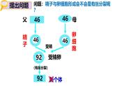 人教版（2019）高中生物必修二2.1《减数分裂和受精作用》（一）：减数分裂（3课时）课件