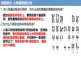 人教版（2019）高中生物必修二2.2《基因在染色体上》（2课时）课件