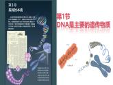 人教版（2019）高中生物必修二3.1《DNA是主要的遗传物质》（2课时）课件