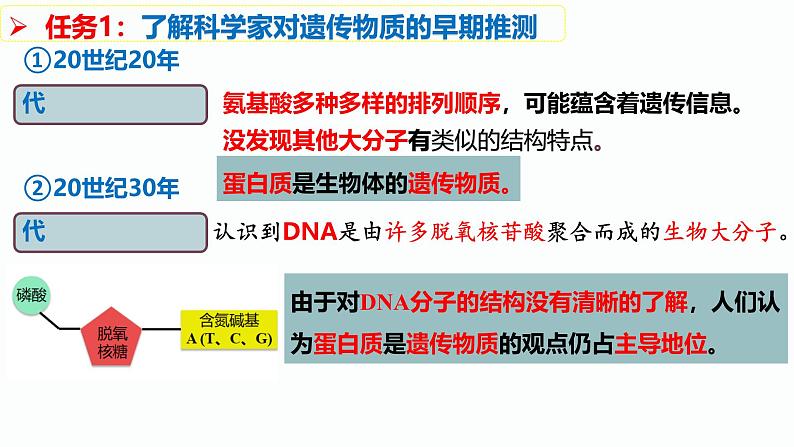 人教版（2019）高中生物必修二3.1《DNA是主要的遗传物质》（2课时）课件04