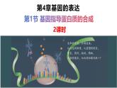 人教版（2019）高中生物必修二4.1《基因指导蛋白质的合成》（2课时）课件