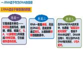 人教版（2019）高中生物必修二4.1《基因指导蛋白质的合成》（2课时）课件