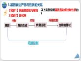 人教版（2019）高中生物必修二4.2《基因表达与性状的关系 》(2课时）课件