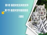 人教版（2019）高中生物必修二5.1《基因突变和基因重组》（2课时）课件