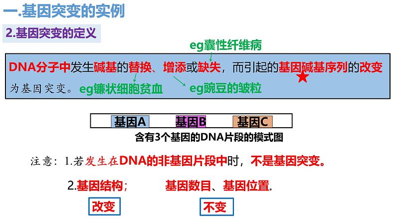 人教版（2019）高中生物必修二5.1《基因突变和基因重组》（2课时）课件07