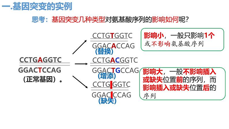 人教版（2019）高中生物必修二5.1《基因突变和基因重组》（2课时）课件08