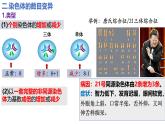 人教版（2019）高中生物必修二5.2《染色体变异》（2课时）课件