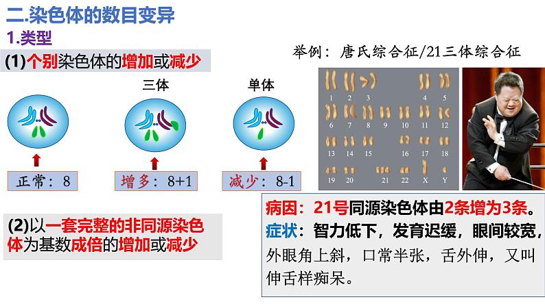 人教版（2019）高中生物必修二5.2《染色体变异》（2课时）课件05