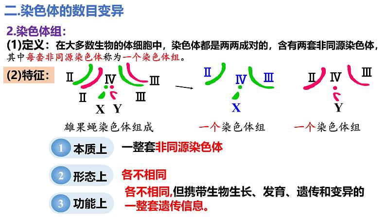 人教版（2019）高中生物必修二5.2《染色体变异》（2课时）课件06