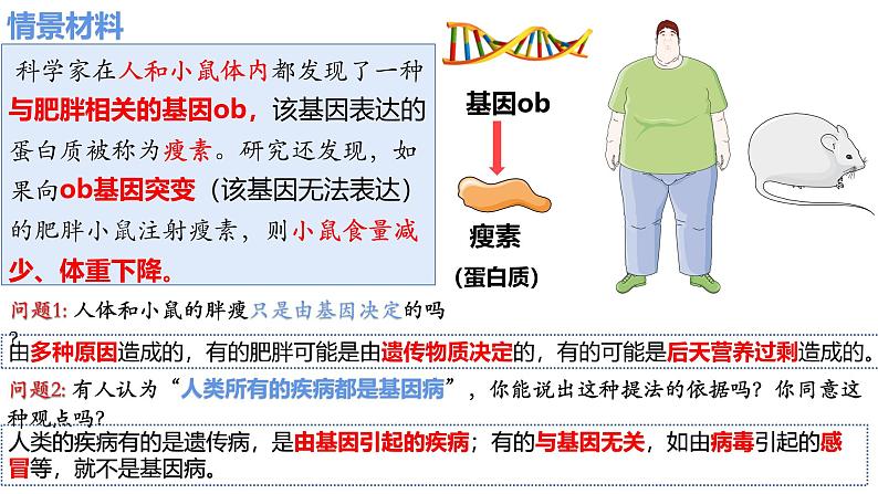 人教版（2019）高中生物必修二5.3《人类遗传病》(1课时）课件02