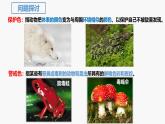 人教版（2019）高中生物必修二6.2《自然选择与适应的形成》（1课时）课件