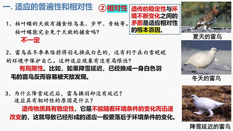 人教版（2019）高中生物必修二6.2《自然选择与适应的形成》（1课时）课件07