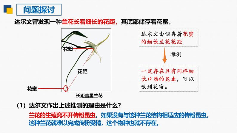 人教版（2019）高中生物必修二6.4《协同进化与生物多样性的形成》(1课时）课件02