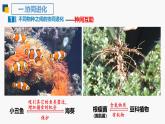 人教版（2019）高中生物必修二6.4《协同进化与生物多样性的形成》(1课时）课件