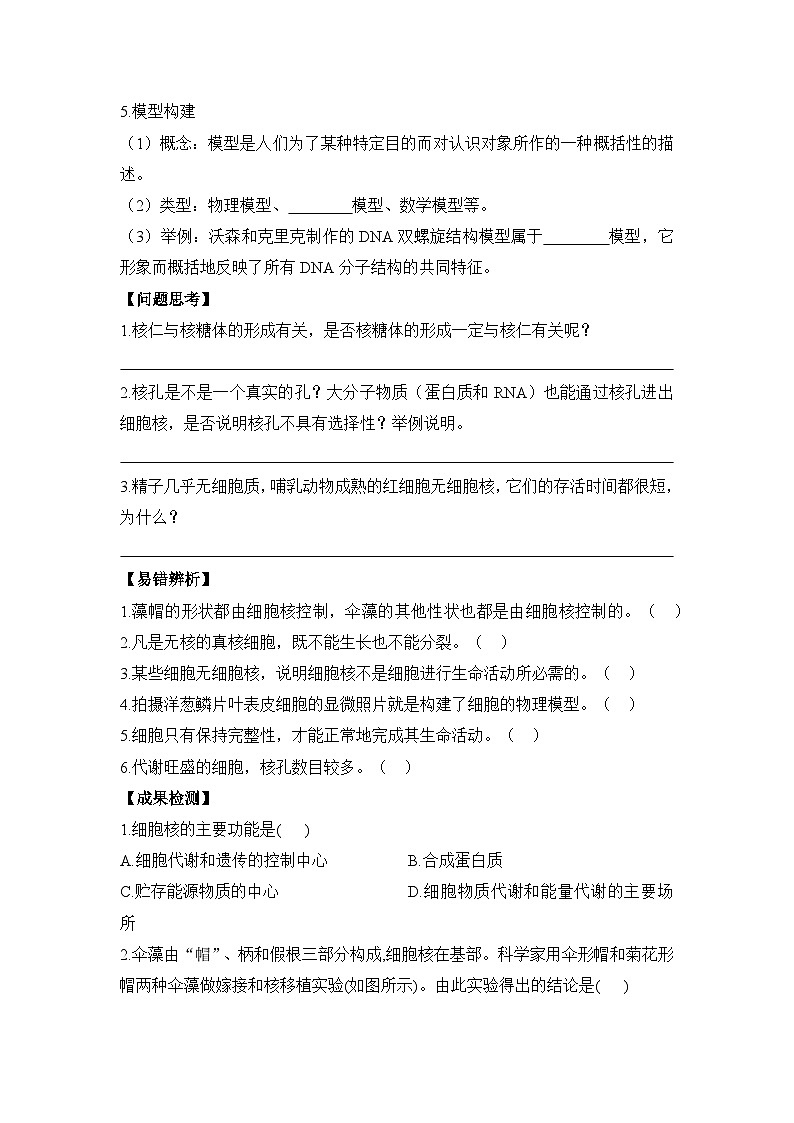3.3细胞核的结构和功能学案 高中生物人教版必修103
