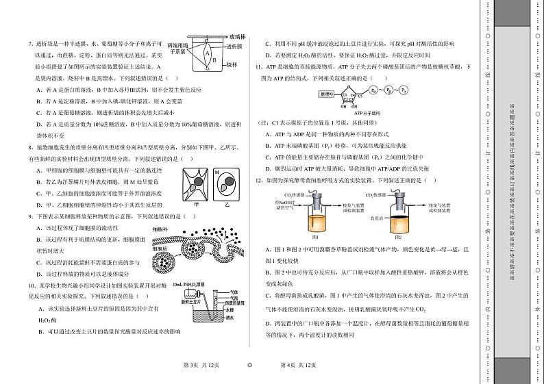 高三上开学考试第2页