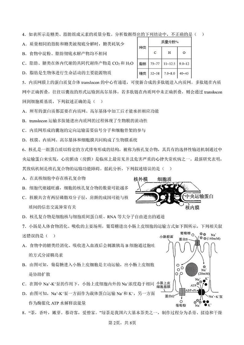 甘肃省陇西县第一中学2023-2024学年高一下学期第四次月考生物试卷02