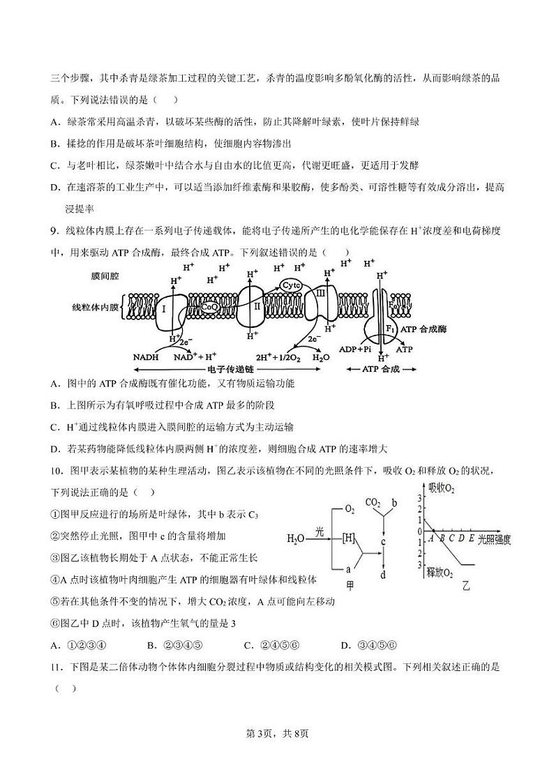 甘肃省陇西县第一中学2023-2024学年高一下学期第四次月考生物试卷03
