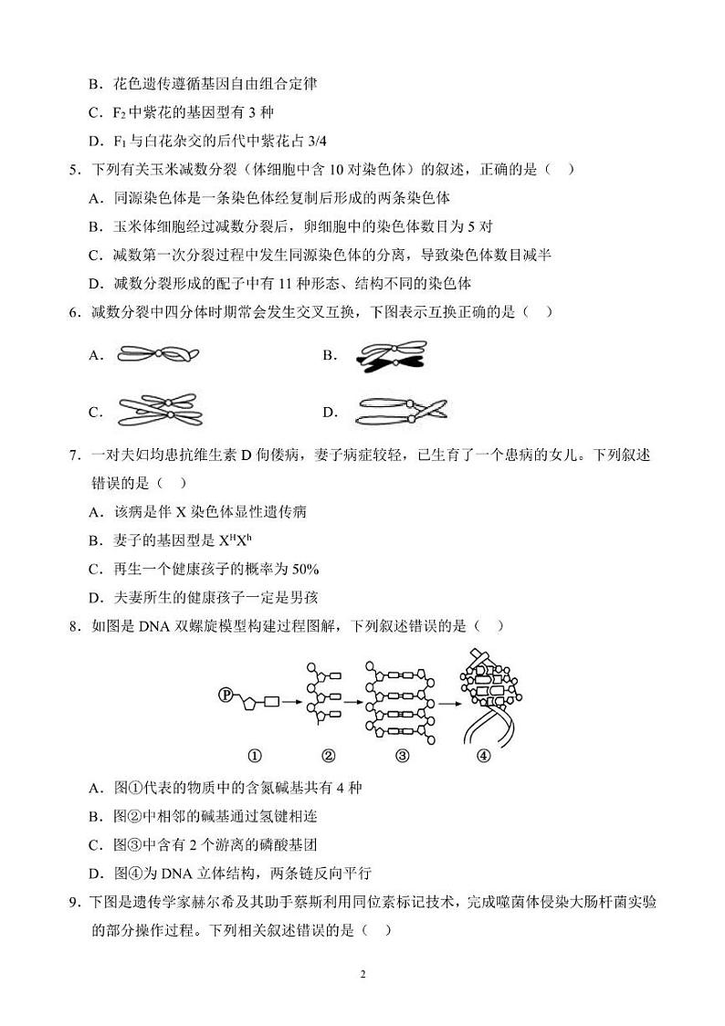 河北省保定市高碑店市崇德实验中学2023-2024学年高一下学期期末考试生物试题 高一期末考试生物试卷第2页