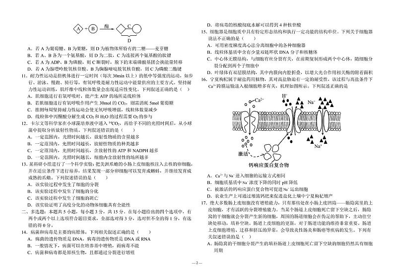 河北省保定市高碑店市崇德实验中学2023-2024学年高二下学期期末考试生物试题02