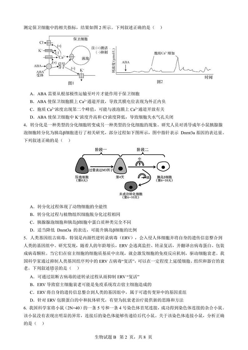 2024届广东省深圳中学高三下学期高考适应性测试生物试题第2页