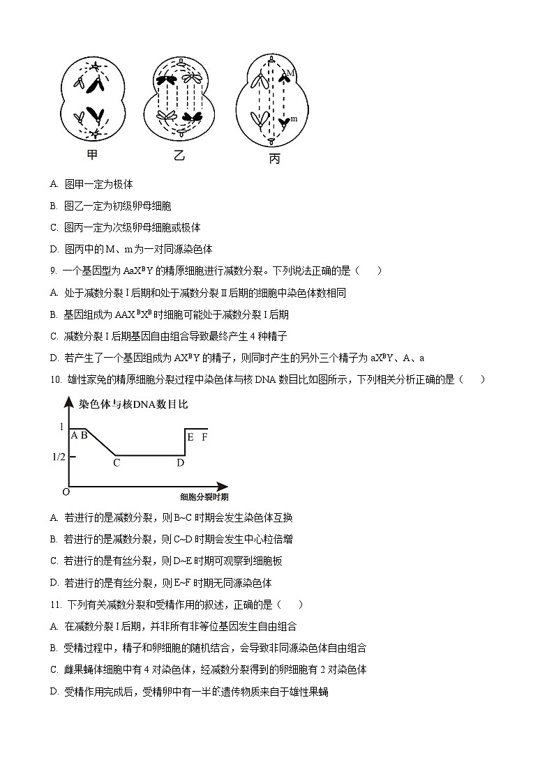 贵州省贵阳市第一中学2023-2024学年高一下学期教学质量监测卷（三）生物试卷（Word版附解析）03
