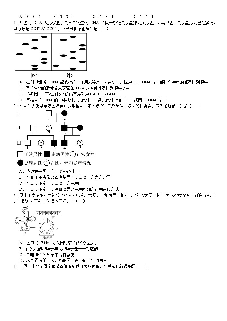 河南省许昌高级中学2024-2025学年高二上学期8月月考生物试卷（Word版附解析）02