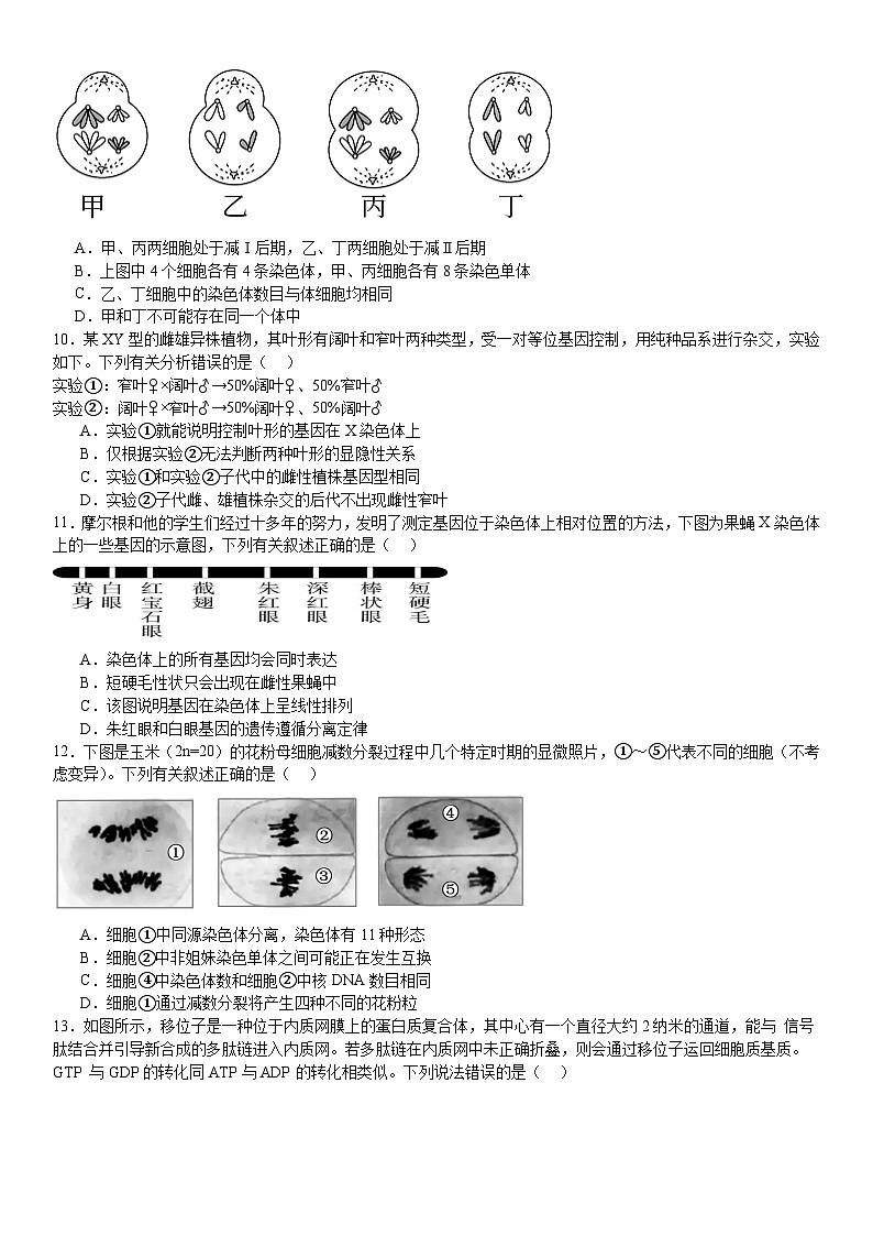 河南省许昌高级中学2024-2025学年高二上学期8月月考生物试卷（Word版附解析）03
