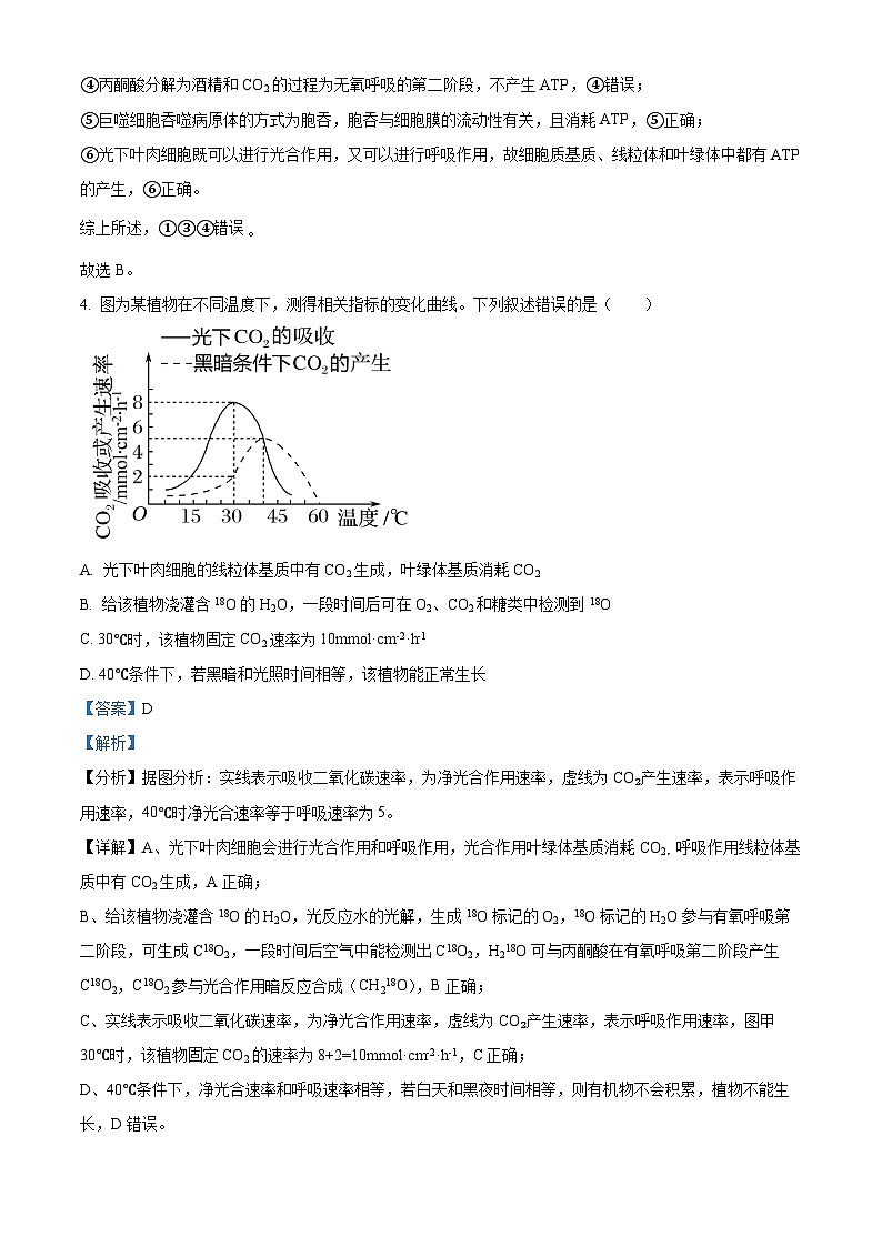 云南省昆明市五华区云南师范大学附属中学2024-2025学年高三上学期8月月考生物试题 (含解析)（解析版）第3页