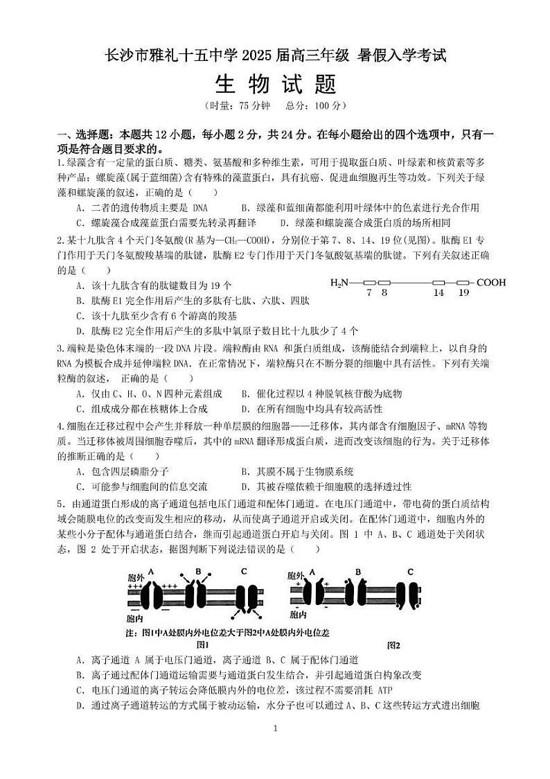 湖南省长沙市第十五中学2024-2025学年高三上学期暑假入学考试生物试题01