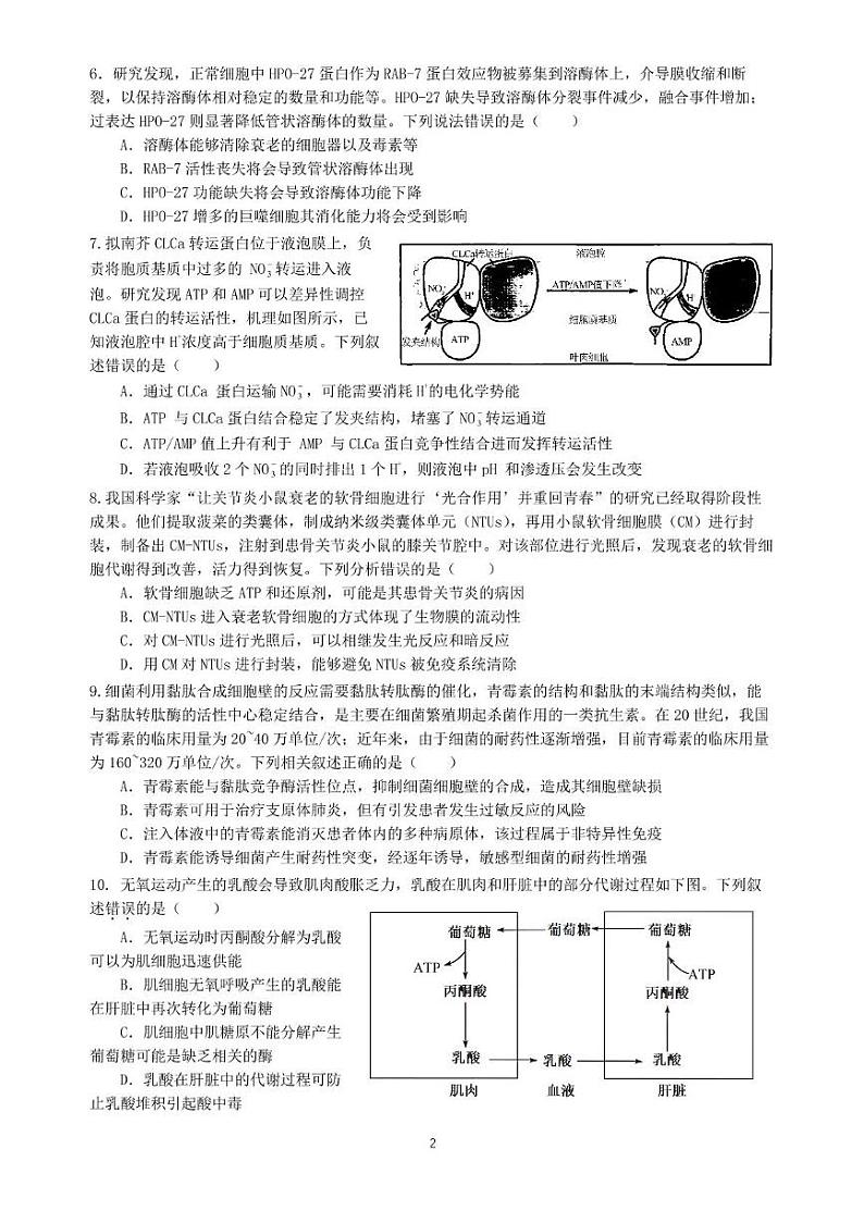 湖南省长沙市第十五中学2024-2025学年高三上学期暑假入学考试生物试题02