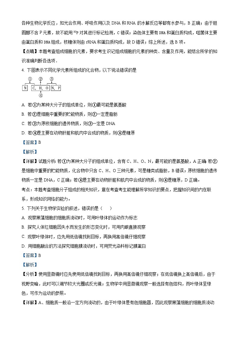 江西省宜春市丰城市第二中学2024-2025学年高三上学期8月第一次月考生物试题（解析版）第3页