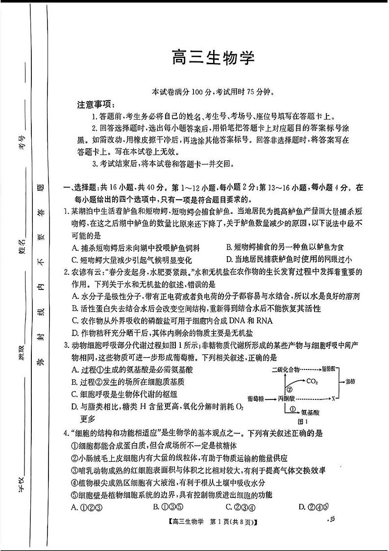 广东省部分学校2024-2025年高三上学期开学考生物试题01
