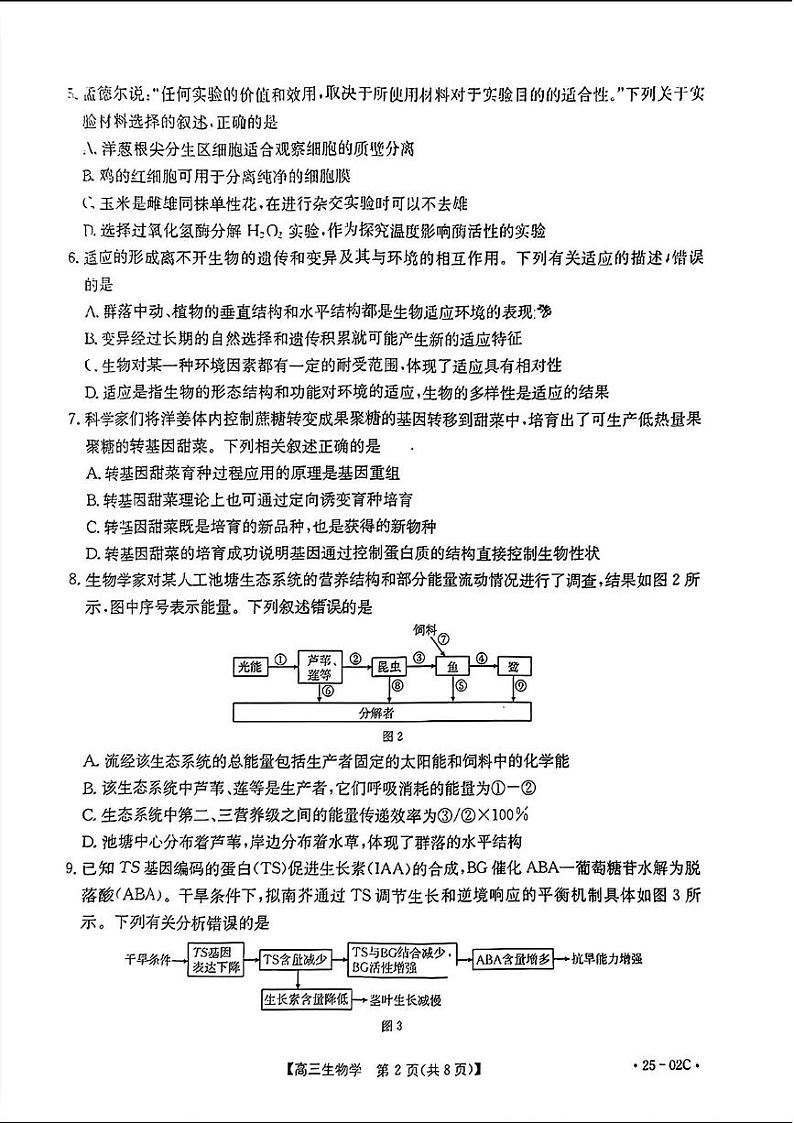 广东省部分学校2024-2025年高三上学期开学考生物试题02