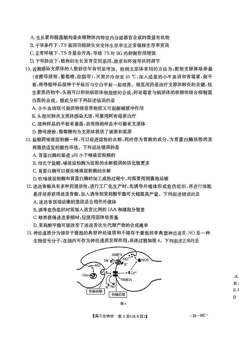 广东省部分学校2024-2025年高三上学期开学考生物试题03