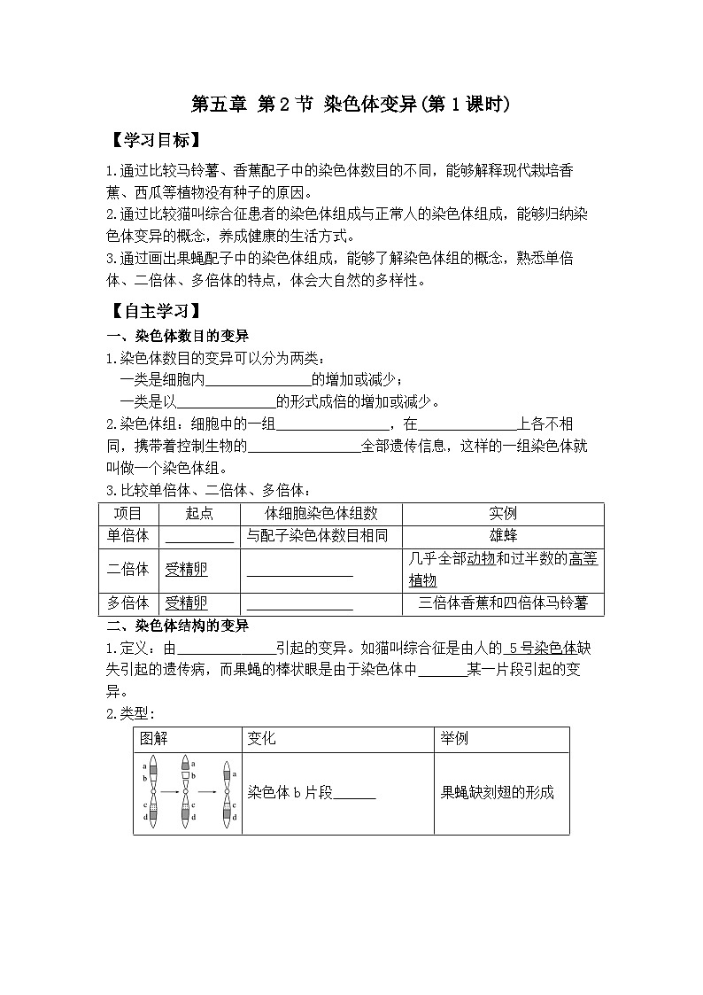 5.2染色体变异导学案-高中生物人教版必修二第1页