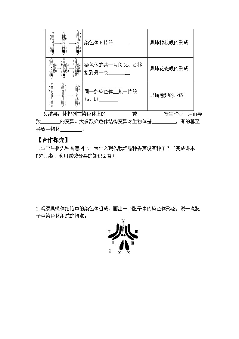 5.2染色体变异导学案-高中生物人教版必修二第2页