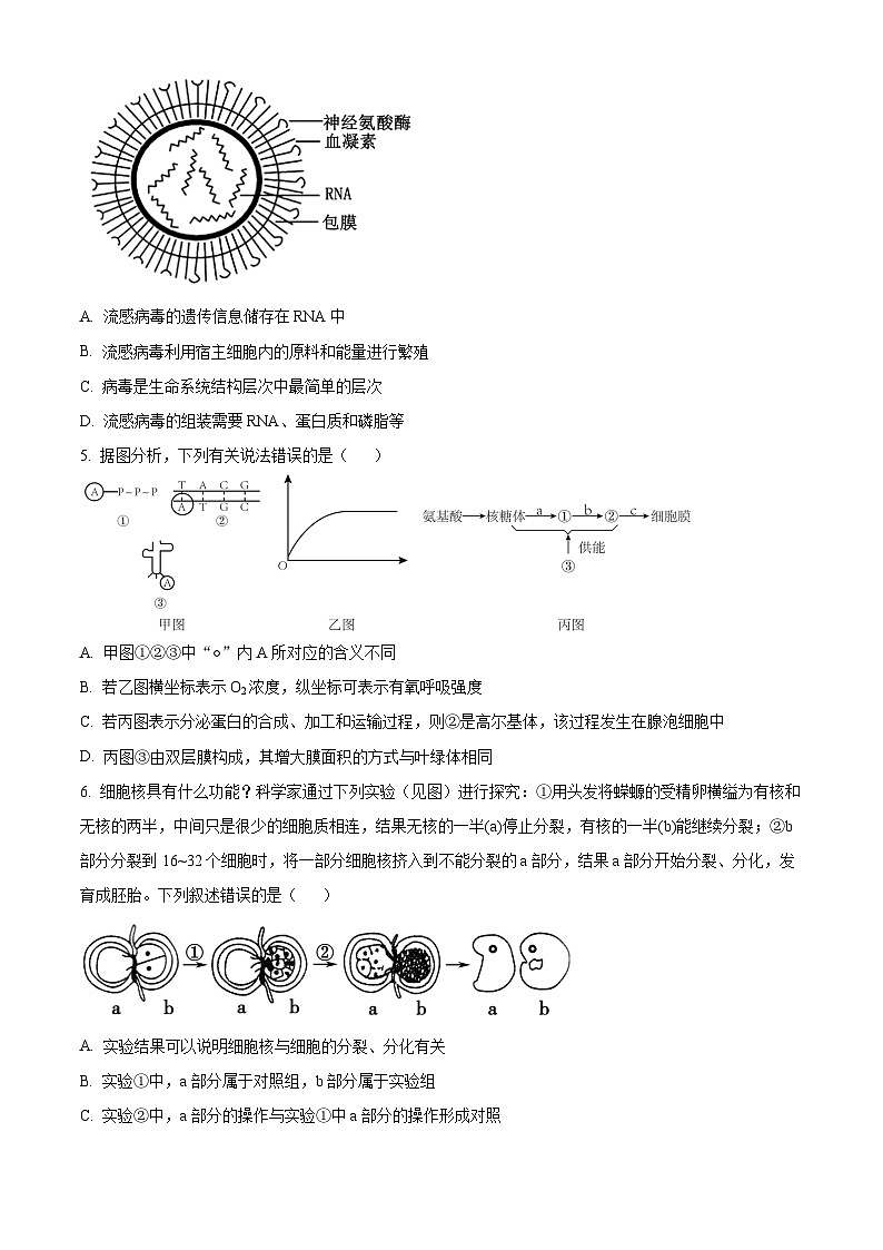黑龙江省逊克县第一中学校2024-2025学年上学期高三开学考试生物试卷（原卷版+解析版）02