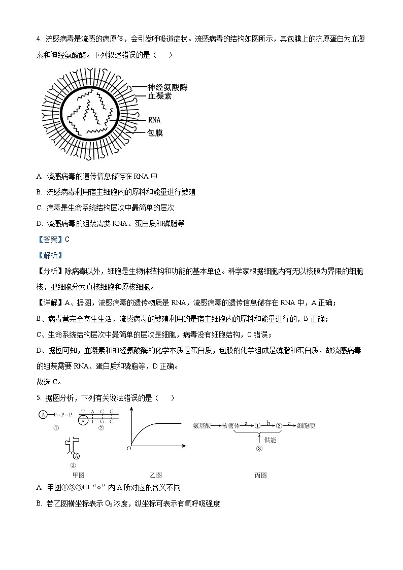 黑龙江省逊克县第一中学校2024-2025学年上学期高三开学考试生物试卷（原卷版+解析版）03
