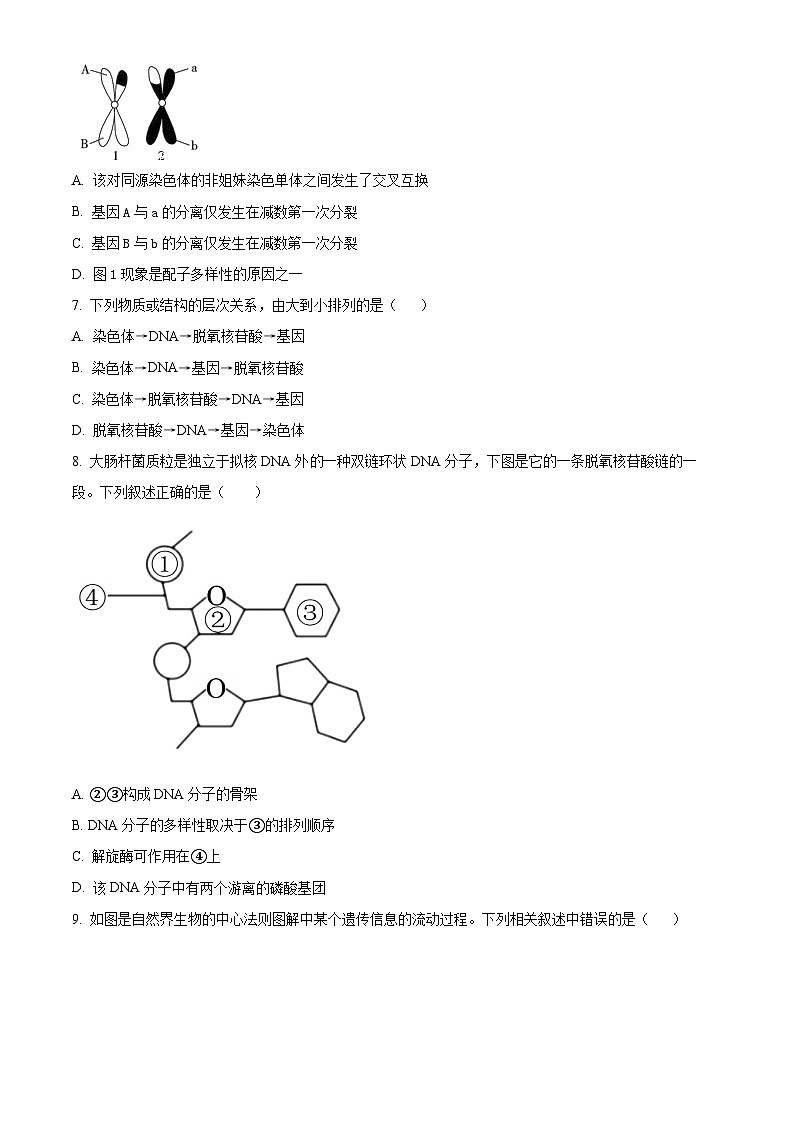 江苏省泰州中学2022-2023学年高一下学期期中考试生物试02