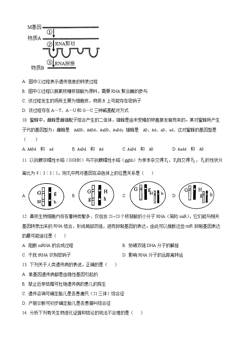 江苏省泰州中学2022-2023学年高一下学期期中考试生物试03