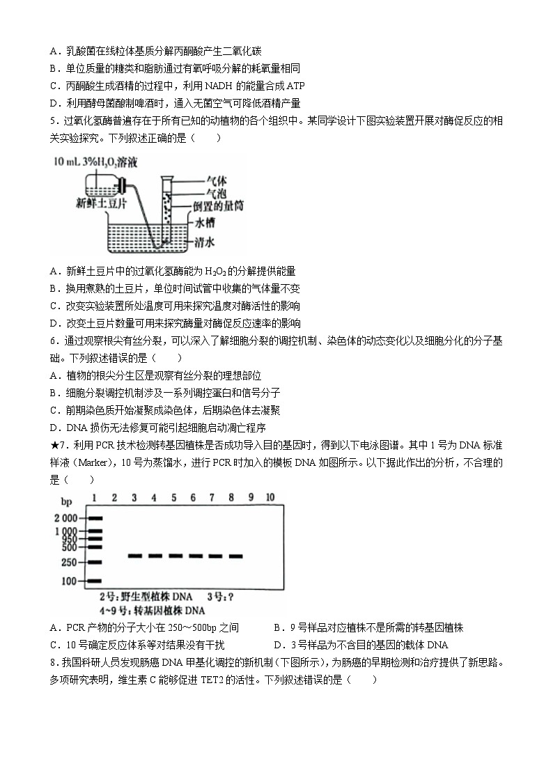 湖南省名校联考联合体2025届高三上学期第一次联考（暨入学检测）生物试题第2页