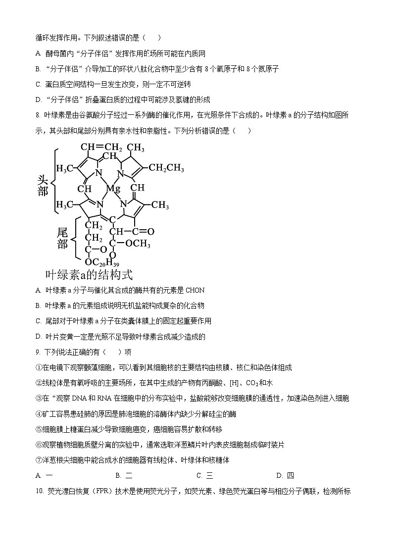 山东省泰安市泰山外国语学校复读部2024-2025学年高三上学期8月测试生物试题（原卷版）第3页