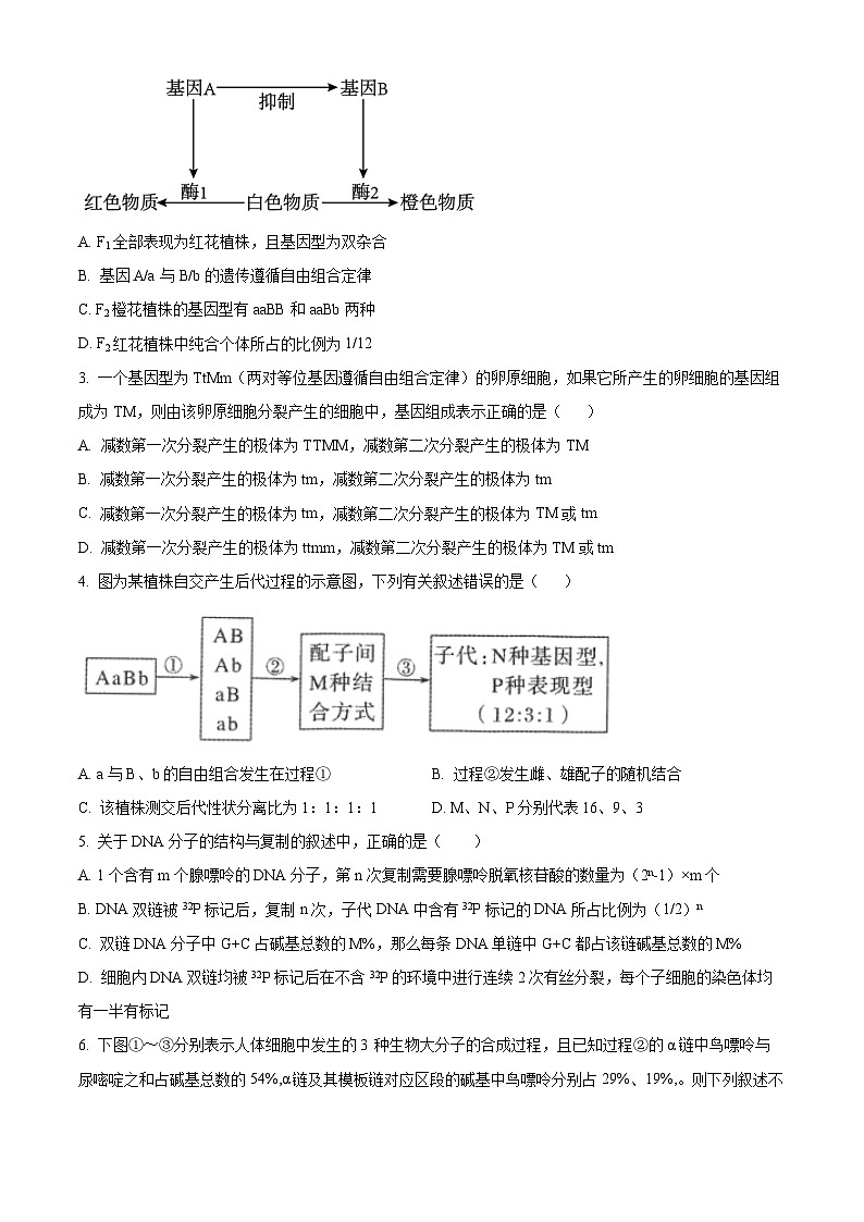 吉林省长春市朝阳区长春外国语学校2024-2025学年高二上学期开学生物试题（原卷版）第2页