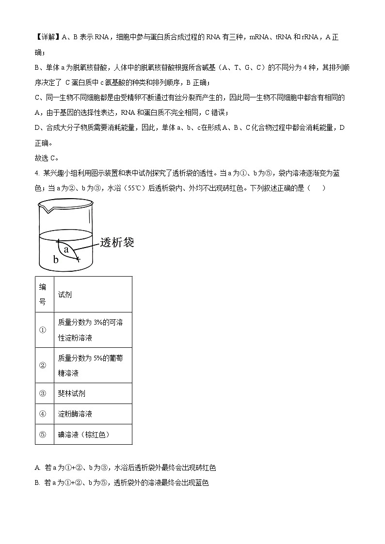 湖北省十堰市竹溪县第二高级中学2024-2025学年高三上学期摸底考试生物试卷（解析版）第3页