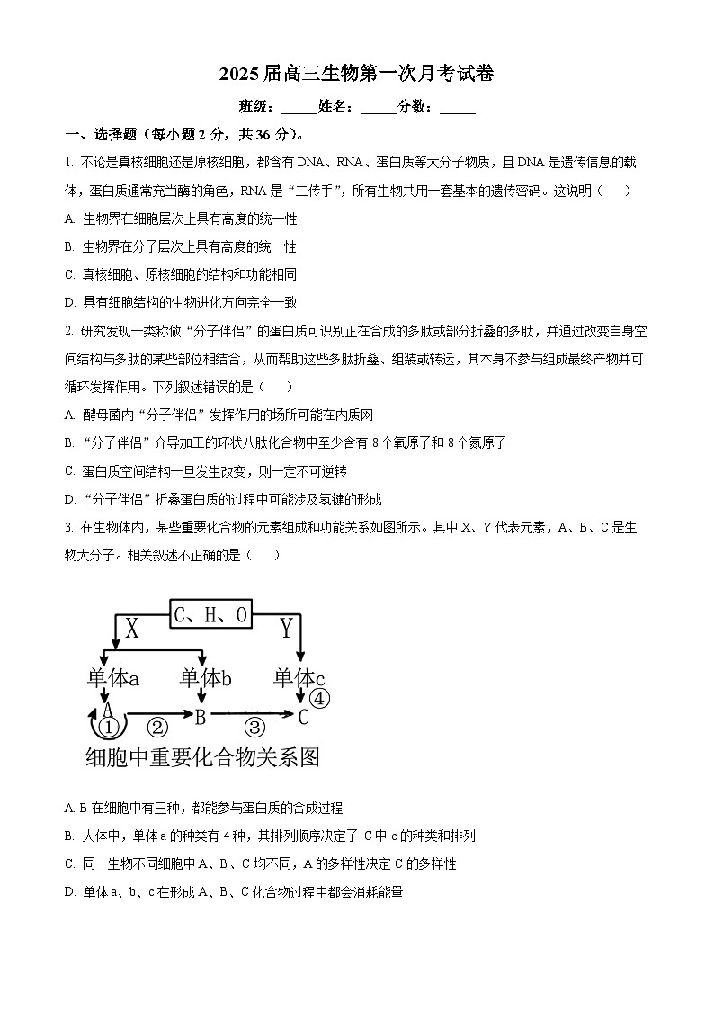 湖北省十堰市竹溪县第二高级中学2024-2025学年高三上学期摸底考试生物试卷（原卷版）第1页