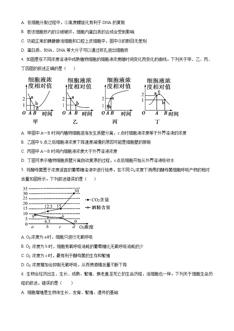 河南省鹤壁市淇滨区鹤壁市高中2024-2025学年高二上学期开学考试生物试题（原卷版）第2页