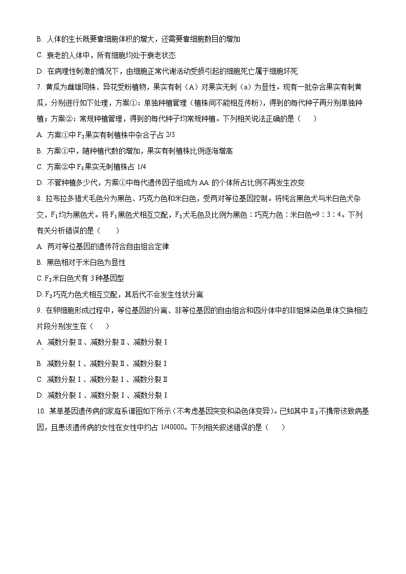 河南省鹤壁市淇滨区鹤壁市高中2024-2025学年高二上学期开学考试生物试题（原卷版）第3页